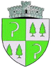 Coat of arms of Capu Câmpului