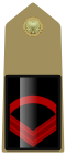 Rank insignia of primo caporalmaggiore of the Army of Italy (1973).svg