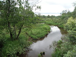 Senga River, Petushinsky District