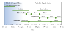 graph of size ranges for particles commonly found in marine systems