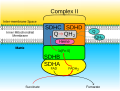 Vorschaubild der Version vom 19:29, 23. Jun. 2007