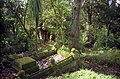 Symonds St Cemetery, Auckland