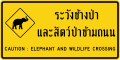 Elephant crossing