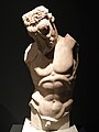 Torso di Minotauro[66]