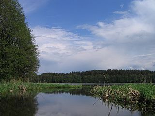 The lake Varenis