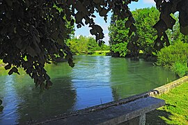 La Seine à Vix.