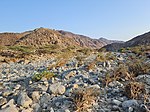 The Wadi Helo seasonal watercourse