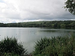 Вид на озеро Вестпорт.jpg