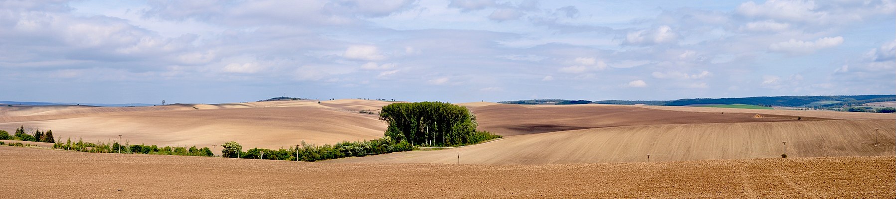 Panorama kulturní krajiny, severní pohled, pozdní léto; v pozadí vrch Reblovna 296,6 m n. m.