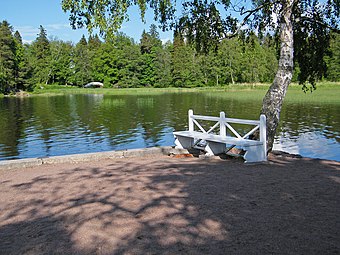 Скамейка в парке Монрепо