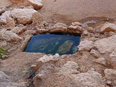 השוקת בעין נטפים