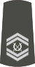 07-Serbian Army-WO2.svg