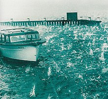 Photo of the 1947 Sydney Hailstorm showing the hail hitting the water at Rose bay 1947 Sydney hailstorm boat.jpg