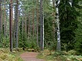 A floodlit trail outside Hökåsen in Västerås, Sweden, with a typical light fixture for such trails.