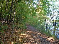 Afton State Park trail