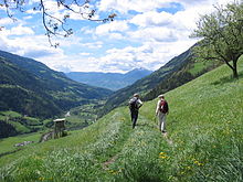 Two people on a long walk with backpacks on. The walk is very green and they seem to be far away from any conveniences.