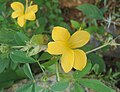 at Mastyagiri, Nalgonda District of Andhra Pradesh, India.