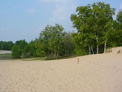 Boberger dune in Lohbrügge