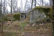 Die Südostseite mit dem Torbau und dem angeblichen Haupttor. Das heutige Bodenniveau müsste annähernd dem mittelalterlichen Zustand entsprechen. In der Felswand des Nordostblockes ist eine Öse erhalten, die zum Anbinden eines Reit- oder Saumtieres oder als Lampenhalter gedient haben dürfte (ca. einen Meter über dem Boden)