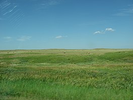 De prêrje yn it Cheyenne River Reservaat.