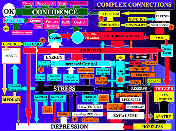 Depression connections in the brain 5