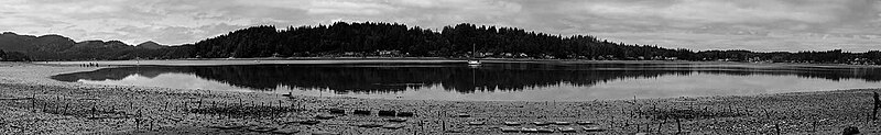 Oyster beds on Eld Inlet at The Evergreen State College