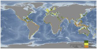 Global distribution of seagrasses, tidal marshes, and mangroves Global distribution of seagrasses, tidal marshes, and mangroves.png