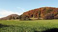 Hohlestein - Herbststimmung im Naturpark Habichtswald