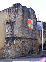 Ruines de remparts à la porte Saint-Martin (juin 2009).