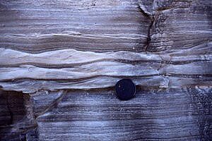 Lapisan Bouma C-D dari turbidit distal diendapkan di levee crevasse splay. Venado Fm, Lake Berryessa, Kalifornia.