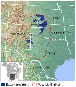 Área de distribución de T. pallidicinctus