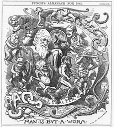 Darwin's figure is shown seated, dressed in a toga, in a circular frame labelled "TIME'S METER" around which a succession of figures spiral, starting with an earthworm emerging from the broken letters "CHAOS" then worms with head and limbs, followed by monkeys, apes, primitive men, a loin cloth clad hunter with a club, and a gentleman who tips his top hat to Darwin.