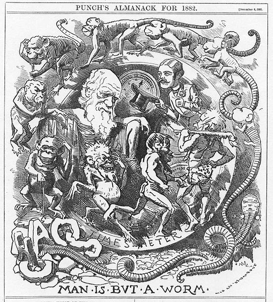 Caricature of Darwin's theory in the Punch almanac for 1882, published at the end of 1881 when Charles Darwin had recently published his last book, The Formation of Vegetable Mould Through the Action of Worms.
