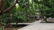 A series of paved paths wiith a large open plaza and a wooden bench.