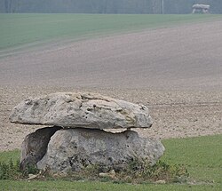 Image illustrative de l’article Dolmens de la Pierre Couverte (Marcilly-le-Hayer)