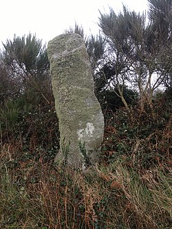 Image illustrative de l’article Menhir de Calès