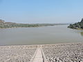 Migratory birds at Mirzapur dam