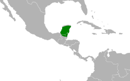 Yucatánpoorwill