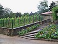 Vignes du parc Georges Brassens sur Paris-lodge.fr