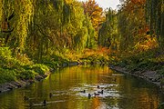 Park Sielecki jesienią