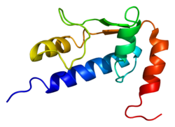 Белок GTF2I PDB 1q60.png