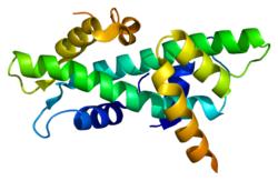 Белок NFYC PDB 1n1j.png