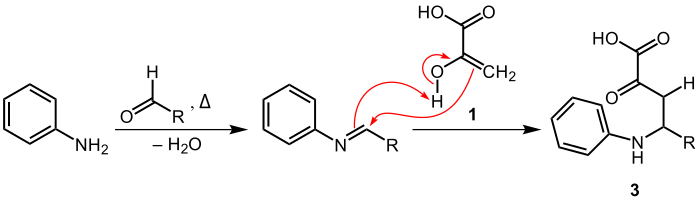 Reaktionsmechanismus-Vorschlag (2) der Doebner-Reaktion