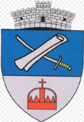 Wappen von Dalnic