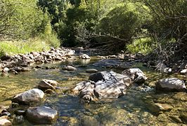 Río Blanco, afluent d'o río Isabana.