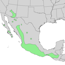 Salix bonplandiana range map 2.png