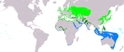 Aire de répartition de la Sterne naine