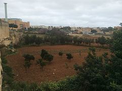 Agricultural land overlooking Tal-Qroqq