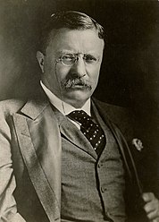 Photographic portrait of Theodore Roosevelt