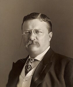 Theodore Roosevelt (1904, Bibliothèque du Congrès).